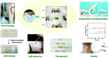 Graphical abstract: A highly stretchable and anti-freezing silk-based conductive hydrogel for application as a self-adhesive and transparent ionotronic skin