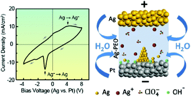 Graphical abstract: Impact of moisture absorption on the resistive switching characteristics of a polyethylene oxide-based atomic switch