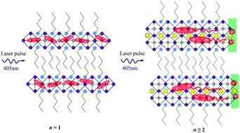 Graphical abstract: Layer number dependent exciton dissociation and carrier recombination in 2D Ruddlesden–Popper halide perovskites