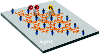 Graphical abstract: Hypercoordinate two-dimensional transition-metal borides for spintronics and catalyst applications