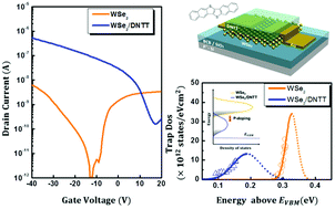 Graphical abstract: Charge transfer doping with an organic layer to achieve a high-performance p-type WSe2 transistor