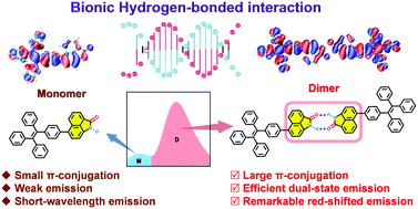 Graphical abstract: A bionic paired hydrogen-bond strategy for extending organic π-conjugation to regulate emission