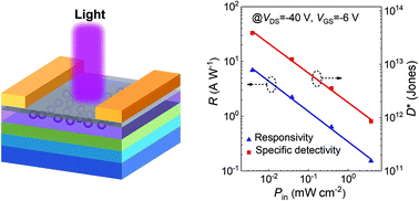 Graphical abstract: Ultrasensitive UV-NIR broadband phototransistors based on AgBiS2–organic hybrid films