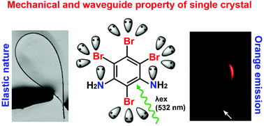 Graphical abstract: Elastic orange emissive single crystals of 1,3-diamino-2,4,5,6-tetrabromobenzene as flexible optical waveguides