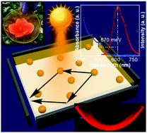 Graphical abstract: Large Stokes shifted quaternary copper cadmium sulfide selenide quantum dot waveguides