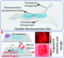 Graphical abstract: Flexible thermosensitive films based on shallow-trap persistent luminescence for high-resolution texture imaging of fingerprints even through latex gloves