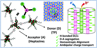 Graphical abstract: Enabling efficient ambipolar charge carrier mobility in a H-bonded heptazine–triphenylene system forming segregated donor–acceptor columnar assemblies