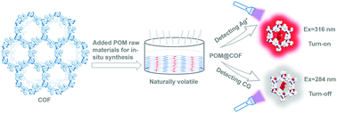 Graphical abstract: In situ growth of polyoxometalate in COF for trace monitoring of Ag+ and hepatocellular carcinoma biomarker via a dual responsive strategy