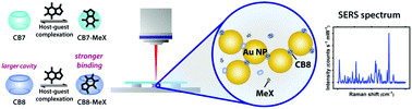 Graphical abstract: SERS multiplexing of methylxanthine drug isomers via host–guest size matching and machine learning