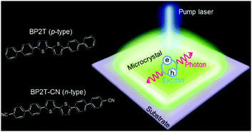 Graphical abstract: Impact of material parameters on strong exciton–photon coupling states formed in microcrystal resonators of p- and n-type thiophene/phenylene co-oligomers