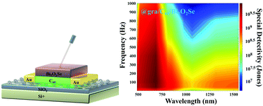 Graphical abstract: Deciphering the photocurrent polarity of Bi2O2Se heterojunction phototransistors to enhance detection performance