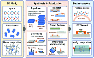 Graphical abstract: A review of strain sensors based on two-dimensional molybdenum disulfide