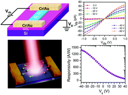 Graphical abstract: Silicon-based two-dimensional chalcogenide of p-type semiconducting silicon telluride nanosheets for ultrahigh sensitive photodetector applications