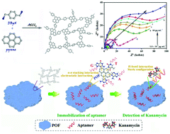 Graphical abstract: Electrochemical impedimetric aptasensors based on hyper-cross-linked porous organic frameworks for the determination of kanamycin