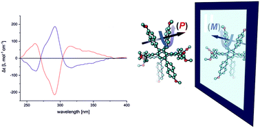 Graphical abstract: Induced axial chirality by a tight belt: naphthalene chromophores fixed in a 2,5-substituted cofacial para-phenylene–ethynylene framework