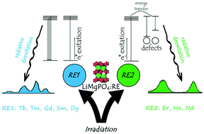 Graphical abstract: On the energy transfer in LiMgPO4 doped with rare-earth elements