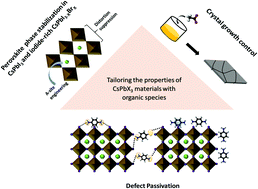 Graphical abstract: Recent progress in tailoring the properties of inorganic CsPbX3 perovskites with functional organic compounds: a route to enhanced efficiency and operational stability in CsPbX3-based photovoltaics