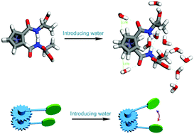 Graphical abstract: Dynamic axial chirality of ferrocene diamino acids: hydration effects and chiroptical applications