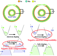 Graphical abstract: A revised mechanism of band gap evolution of TMDC nanotubes and its application to Janus TMDC nanotubes: negative electron and hole compressibility