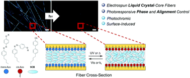 Graphical abstract: Photochemical phase and alignment control of a nematic liquid crystal in core-sheath nanofibers
