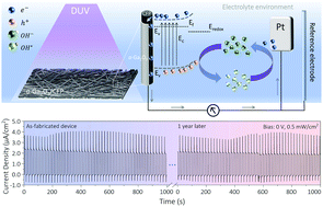 Graphical abstract: A simple, repeatable and highly stable self-powered solar-blind photoelectrochemical-type photodetector using amorphous Ga2O3 films grown on 3D carbon fiber paper