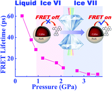 Graphical abstract: Turning on high-rate-capability fluorescence resonance energy transfer in a quantum dot-molecule system via high pressure