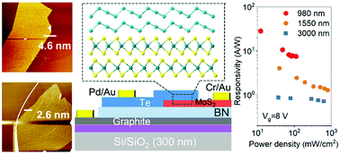 Graphical abstract: A high-performance short-wave infrared phototransistor based on a 2D tellurium/MoS2 van der Waals heterojunction