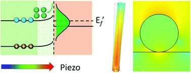 Graphical abstract: Piezotronics boosted plasmonic localization and hot electron injection of coralline-like Ag/BaTiO3 nanoarrays for photocatalytic application