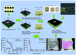 Graphical abstract: Fabrication and stability of base metal electrode (Ni) on a perovskite oxide co-fired multilayer piezoelectric device