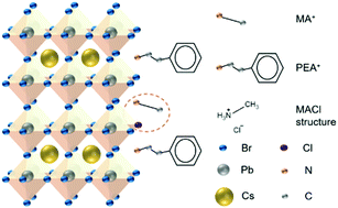 Graphical abstract: Chloride-incorporated quasi-2D perovskite films via dynamic processing for spectrum-stable blue light-emitting diodes