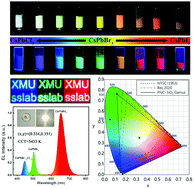 Graphical abstract: All-inorganic encapsulation for remarkably stable cesium lead halide perovskite nanocrystals: toward full-color display applications