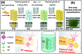 Graphical abstract: Plasmonic metal enhanced broadband near-infrared emission from a transparent nano-glass composite containing hybrid Ag–metal/γ-Ga2O3:Ni2+ nanocrystals