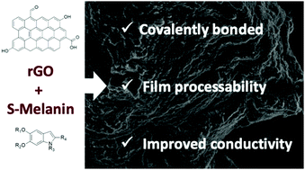 Graphical abstract: A strategy towards melanin-based functional material: rGO and sulfonated melanin composites