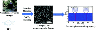 Graphical abstract: Conductive thermoplastic polyurethane nanocomposite foams derived from a cellulose/MWCNTs aerogel framework: simultaneous enhancement of piezoresistance, strength, and endurance