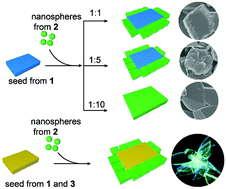 Graphical abstract: Fabrication of complex hierarchical heterostructures with controlled luminescence via seeded self-assembly