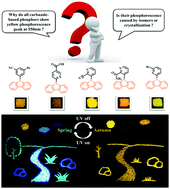 Graphical abstract: Carbazole&benzoindole-based purely organic phosphors: a comprehensive phosphorescence mechanism, tunable lifetime and an advanced encryption system