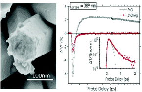 Graphical abstract: Optical field coupling in ZnO nanorods decorated with silver plasmonic nanoparticles