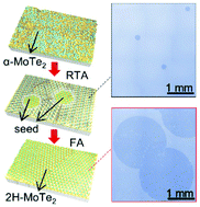 Graphical abstract: Two-dimensional solid-phase crystallization toward centimeter-scale monocrystalline layered MoTe2via two-step annealing