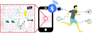 Graphical abstract: An in situ polymerized polypyrrole/halloysite nanotube–silver nanoflower based flexible wearable pressure sensor with a large measurement range and high sensitivity