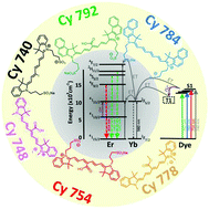 Graphical abstract: Coordination mechanism of cyanine dyes on the surface of core@active shell β-NaGdF4:Yb3+,Er3+ nanocrystals and its role in enhancing upconversion luminescence