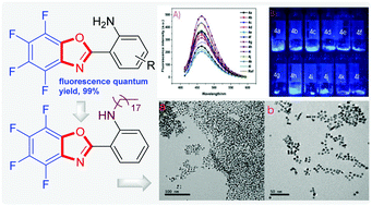 Graphical abstract: 2-Aryl-perfluorobenzoxazoles: synthesis, fluorescence properties and synthetic applications in cubic platinum nanoparticles
