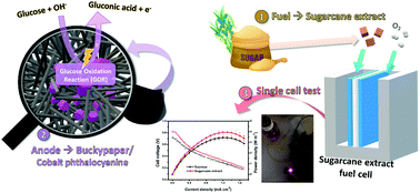 Graphical abstract: The effects of the interstitial pores of buckypaper in trapping cobalt phthalocyanine and their use in sugarcane-extract fuel cells