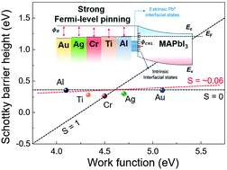 Graphical abstract: Strong Fermi-level pinning at metal contacts to halide perovskites