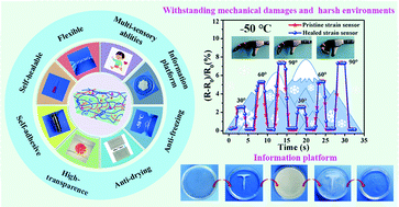 Graphical abstract: Stretchable, healable, adhesive, transparent, anti-drying and anti-freezing organohydrogels toward multi-functional sensors and information platforms