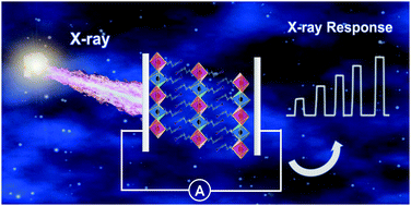 Graphical abstract: A lead-free I-based hybrid double perovskite (I-C4H8NH3)4AgBiI8 for X-ray detection