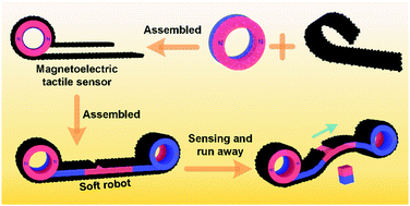 Graphical abstract: Carbon fabric-based self-powered magnetoelectric tactile sensors for soft robot's sensing with resistance to acidic/alkaline environments