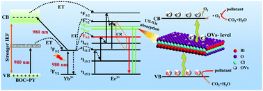 Graphical abstract: Enhancing the near-infrared photocatalytic activity and upconversion luminescence of BiOCl:Yb3+–Er3+ nanosheets with polypyrrole in situ modification