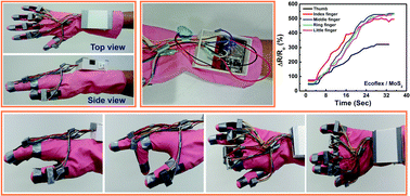 Graphical abstract: Highly sensitive mechano-optical strain sensors based on 2D materials for human wearable monitoring and high-end robotic applications