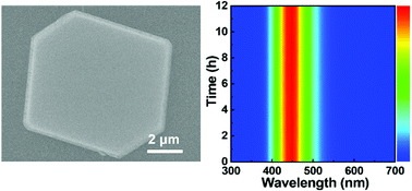 Graphical abstract: Dual-source vapor-processed blue-emissive cesium copper iodine microplatelets with high crystallinity and stability