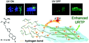 Graphical abstract: Synergetic enhancement of room-temperature phosphorescence via water molecules as a hydrogen bonding bridge